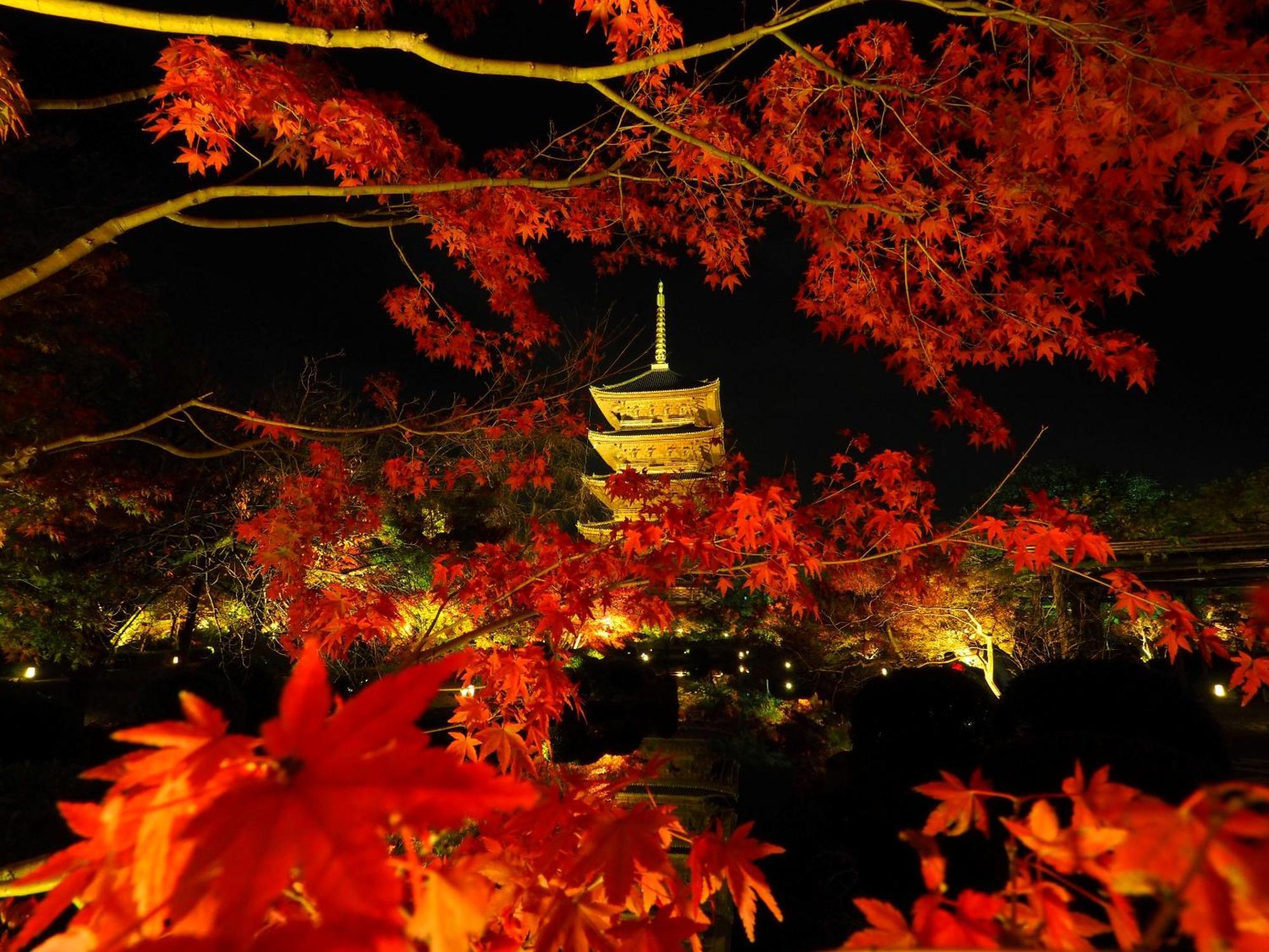 Stay Sakura Kyoto Higashi Hongan-Ji I Dış mekan fotoğraf