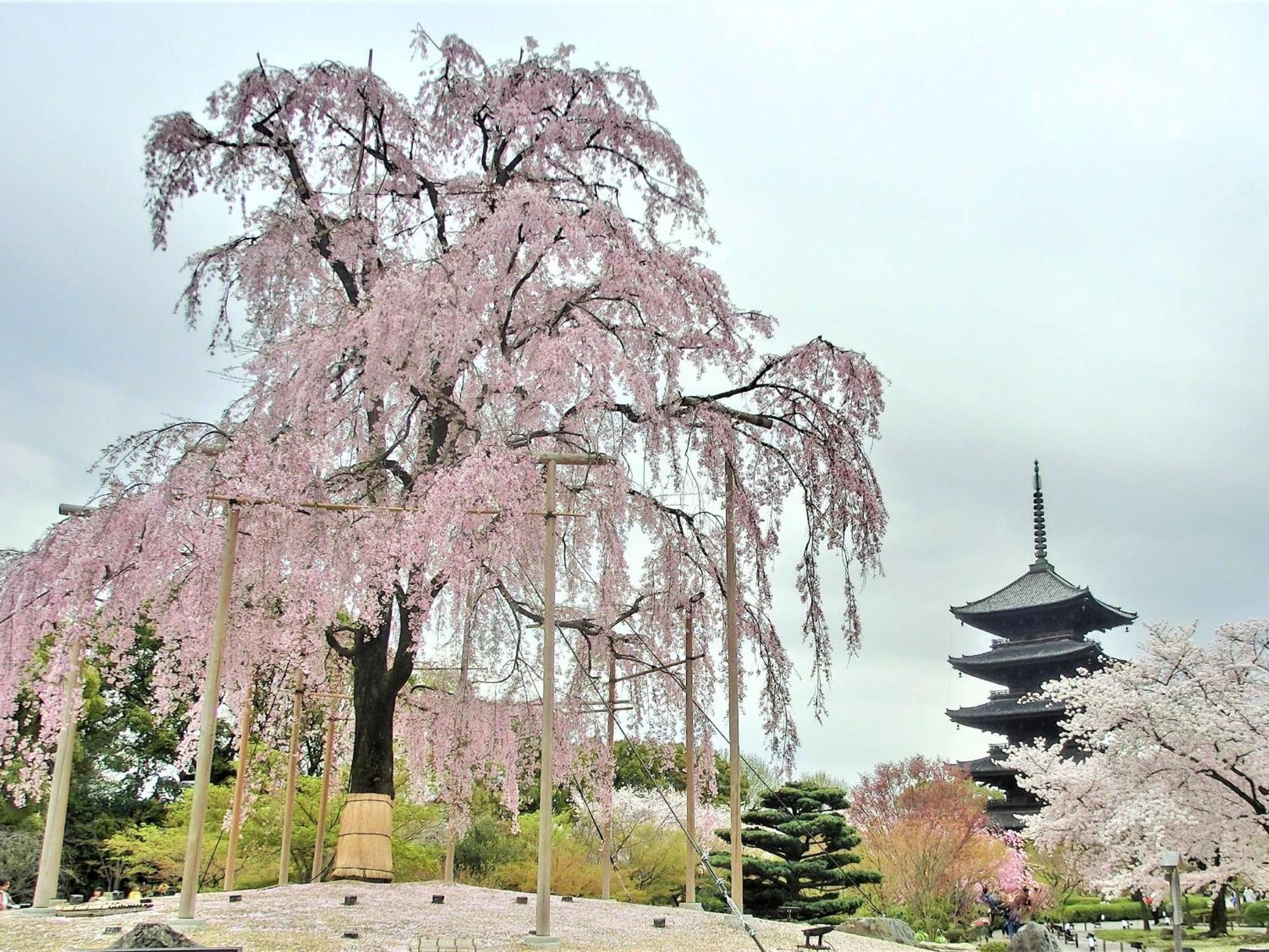 Stay Sakura Kyoto Higashi Hongan-Ji I Dış mekan fotoğraf