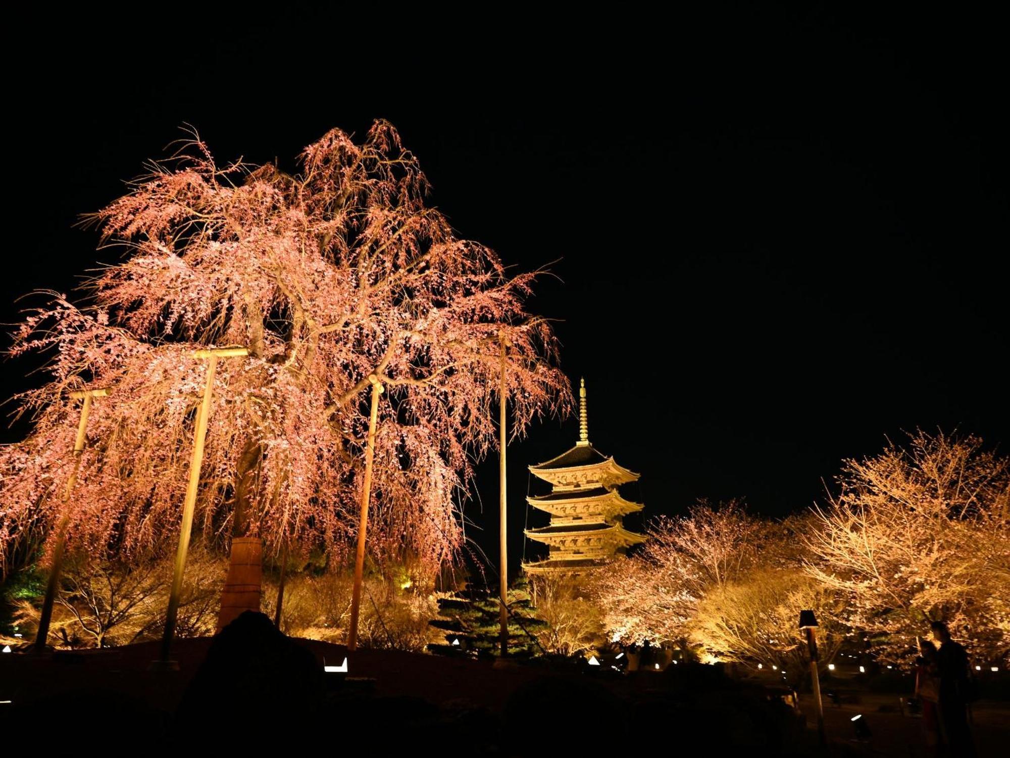 Stay Sakura Kyoto Higashi Hongan-Ji I Dış mekan fotoğraf