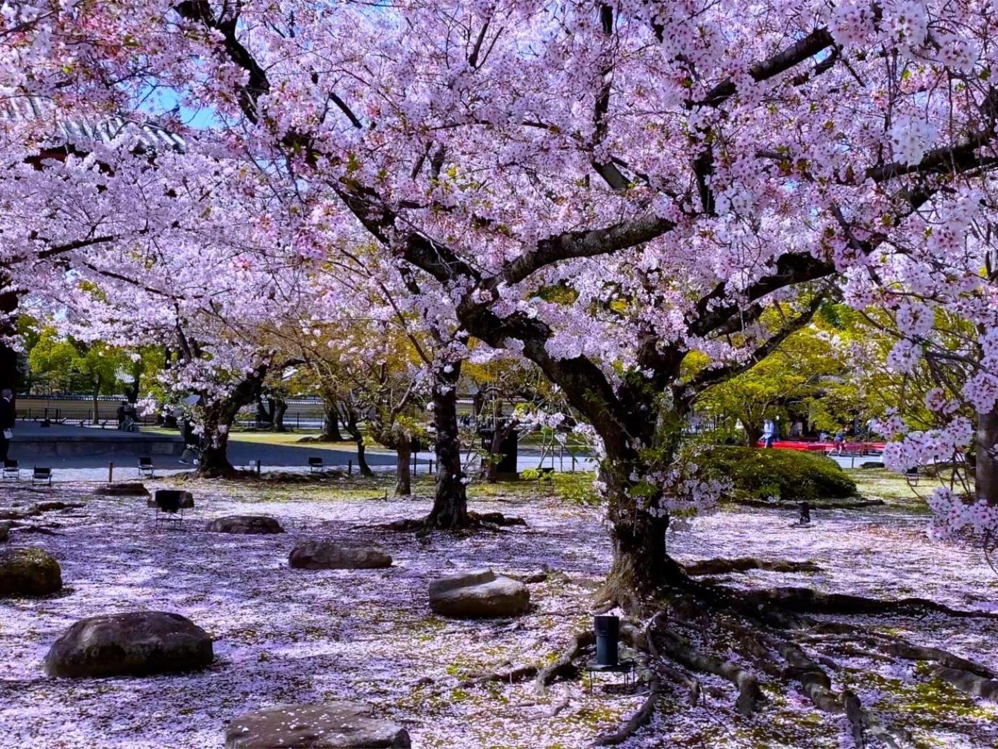 Stay Sakura Kyoto Higashi Hongan-Ji I Dış mekan fotoğraf